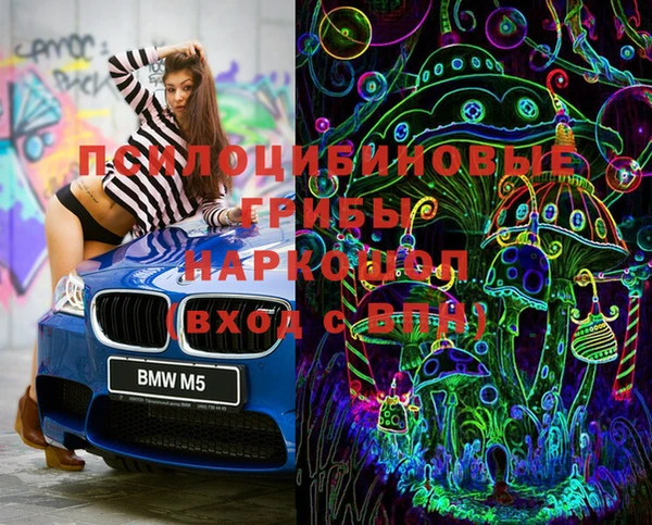 ПСИЛОЦИБИНОВЫЕ ГРИБЫ Аркадак
