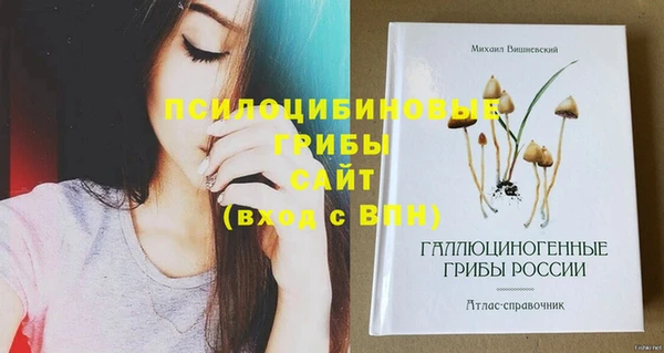 гидропоника Армянск