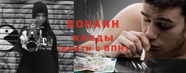 сатива Арсеньев