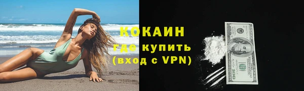 сатива Арсеньев