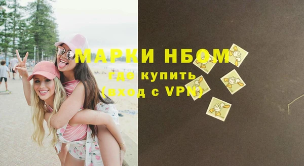 ПСИЛОЦИБИНОВЫЕ ГРИБЫ Аркадак