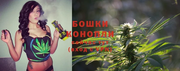 сатива Арсеньев
